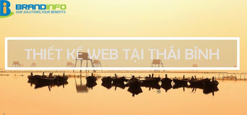 Thiết kế web chuyên nghiệp tại Thái Bình