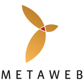 Entity metawweb