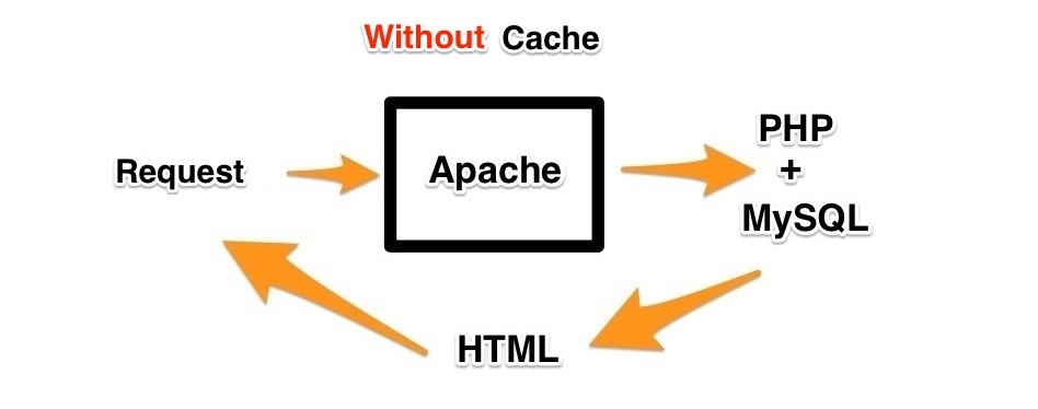 Công dụng của Web cache như thế nào
